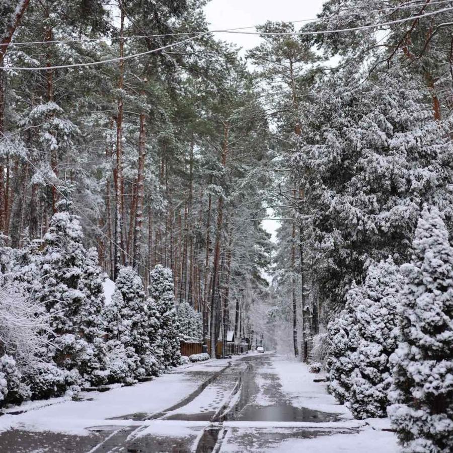 Villa Ekodom Voropayev Esterno foto