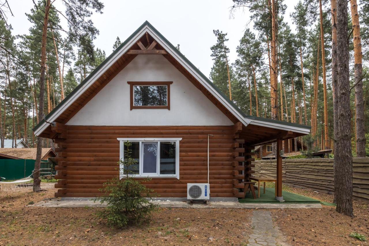 Villa Ekodom Voropayev Esterno foto